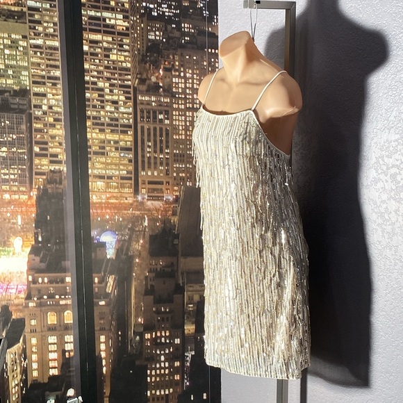 ALTAR’D STATE - dress: silver mesh w allover sequin fringe, lined w zipper - XL - Picture 4 of 16